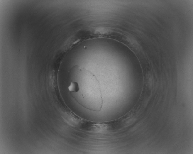 X0000072960328200607211204