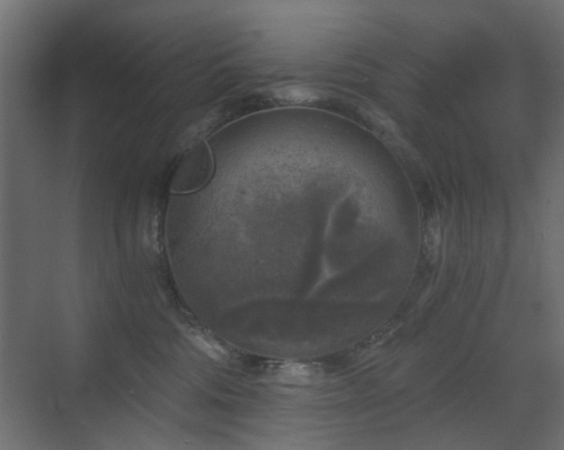 X0000072960330200607211204