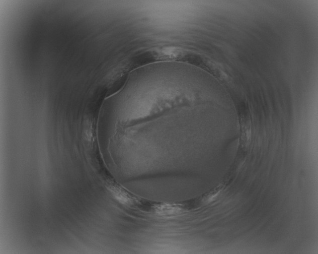 X0000072960331200607211204