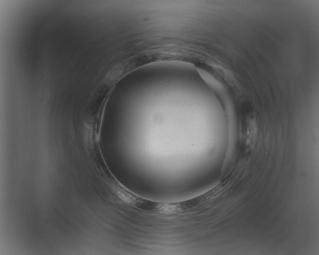 X0000072960333200607211204