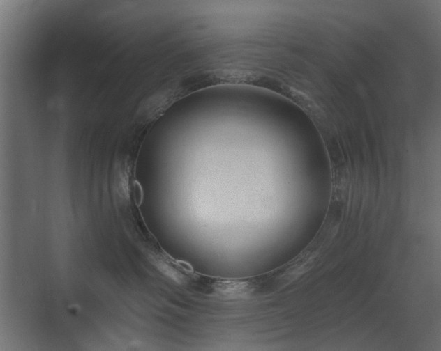 X0000072960334200607211204