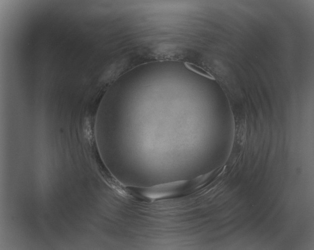 X0000072960335200607211204