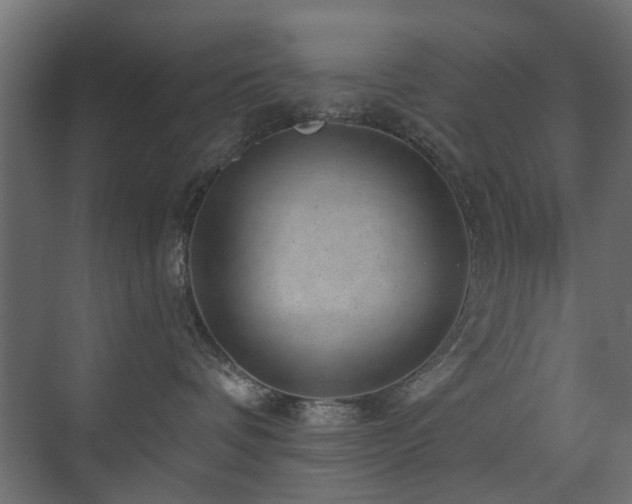 X0000072960336200607211204