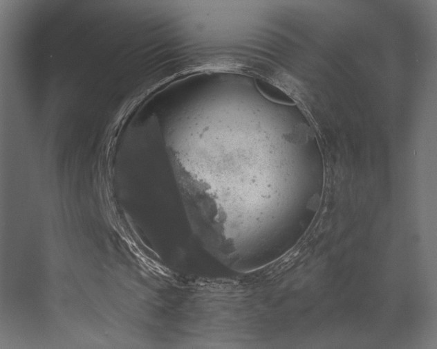 X0000072960337200607211203