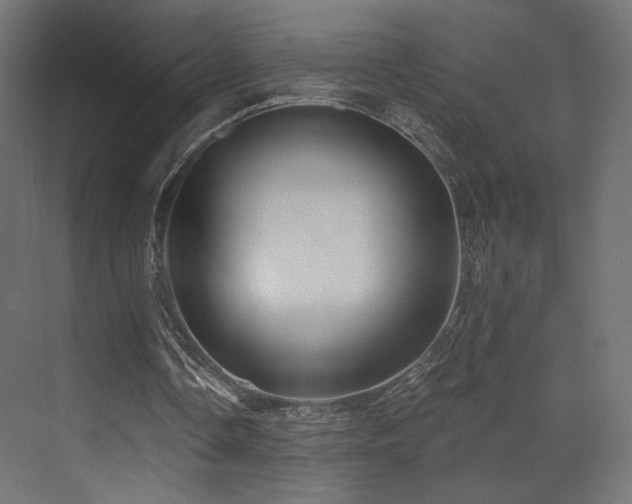 X0000072960338200607211203