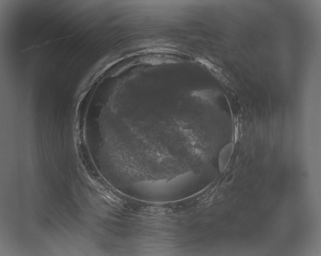 X0000072960339200607211203