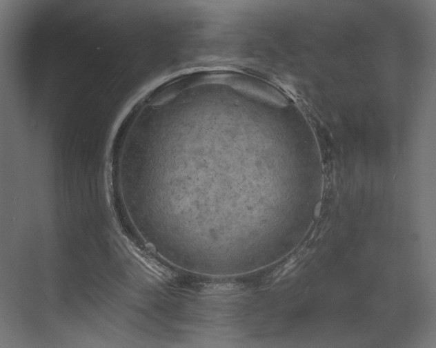 X0000072960342200607211203