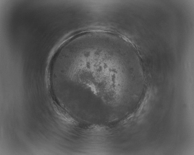 X0000072960343200607211203