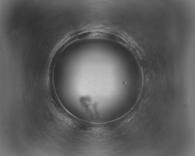 X0000072960344200607211203