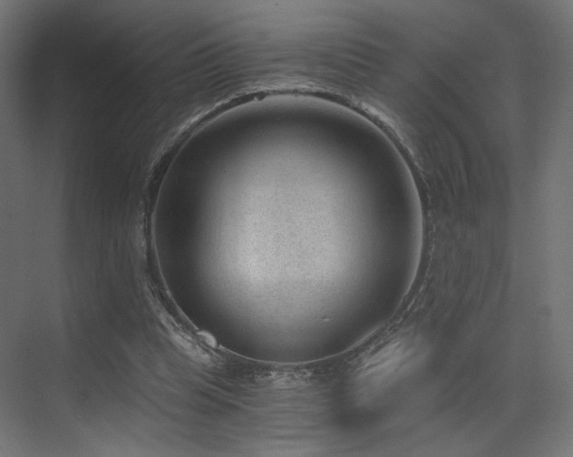 X0000072960345200607211203