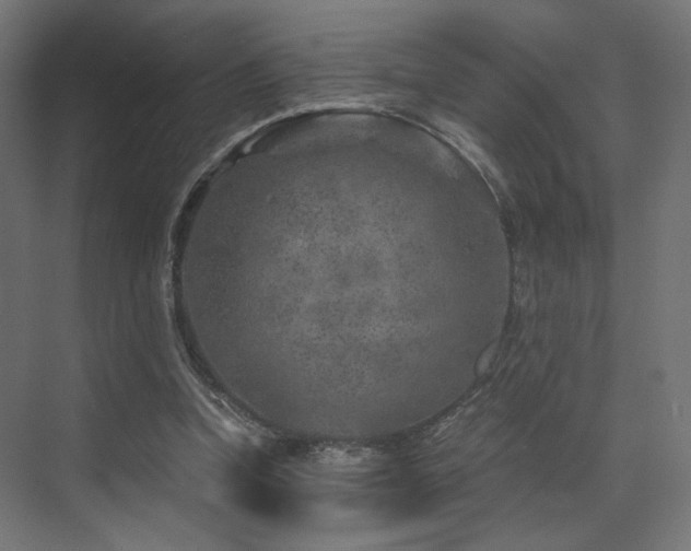 X0000072960346200607211203