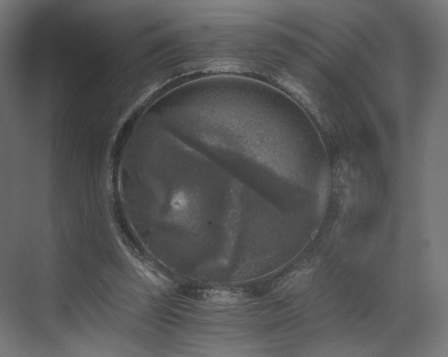 X0000072960347200607211203