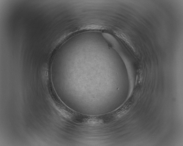 X0000072960348200607211203