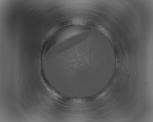 X0000072960349200607211203