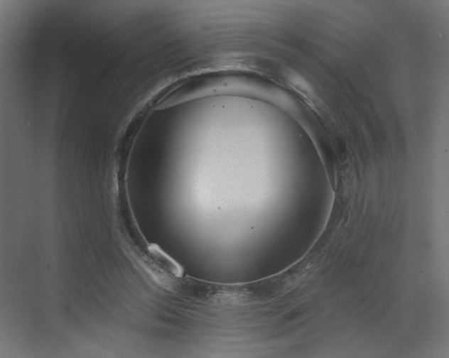 X0000072960350200607211203