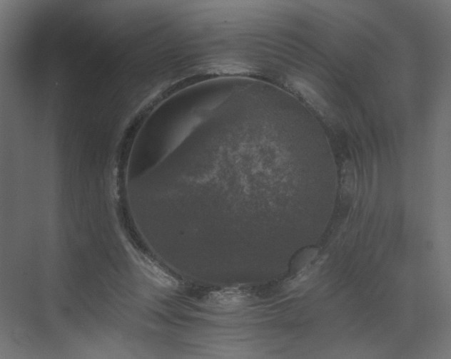 X0000072960351200607211203