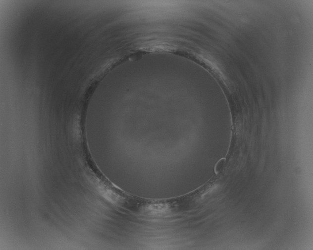 X0000072960353200607211203