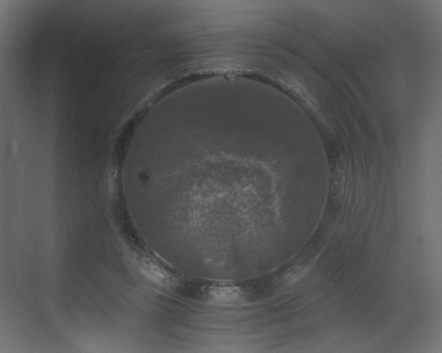 X0000072960355200607211203