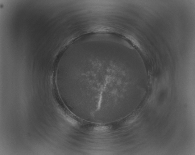 X0000072960357200607211203