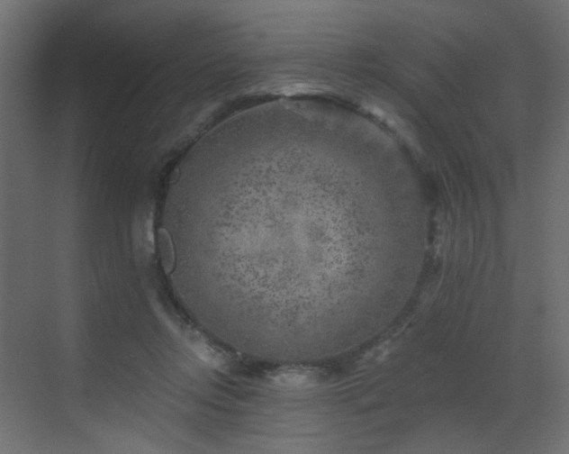 X0000072960358200607211203