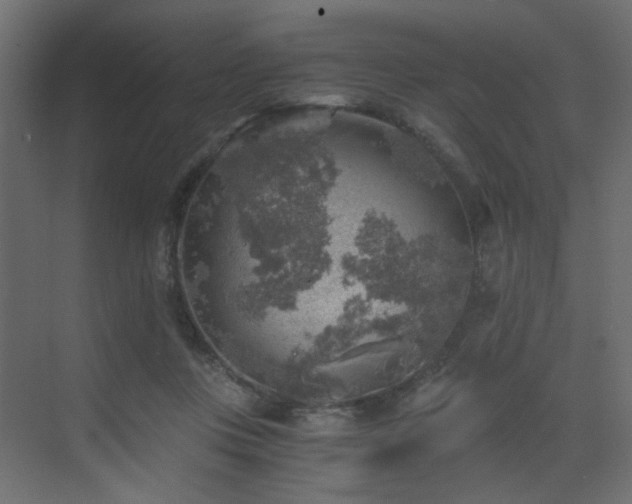 X0000072960359200607211203