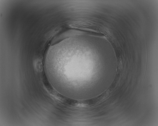 X0000072960360200607211203