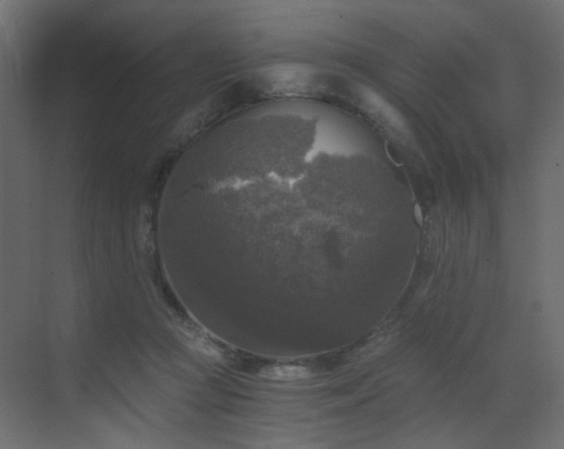 X0000072960361200607211203