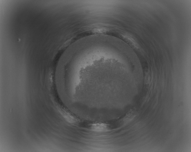 X0000072960363200607211203