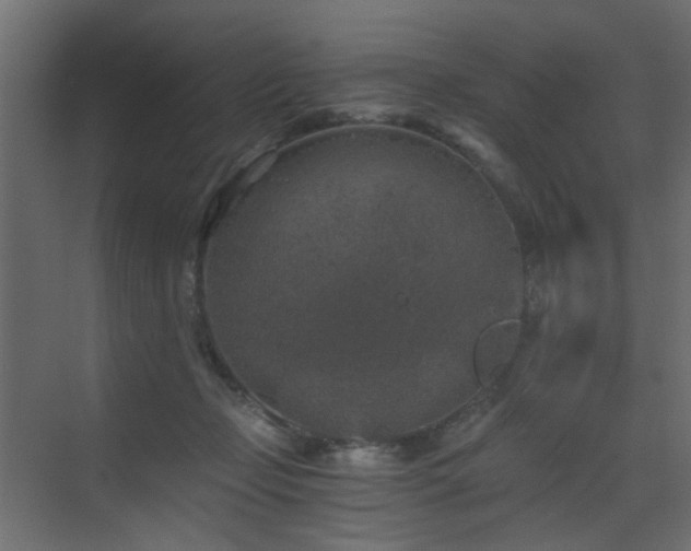 X0000072960365200607211203