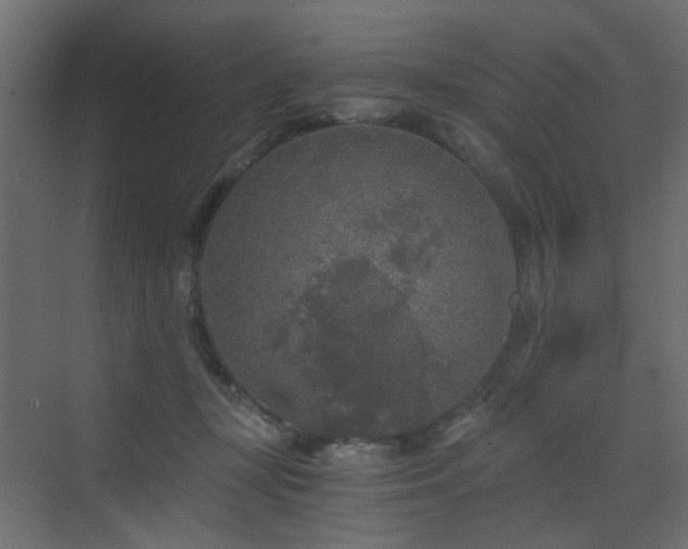 X0000072960367200607211203