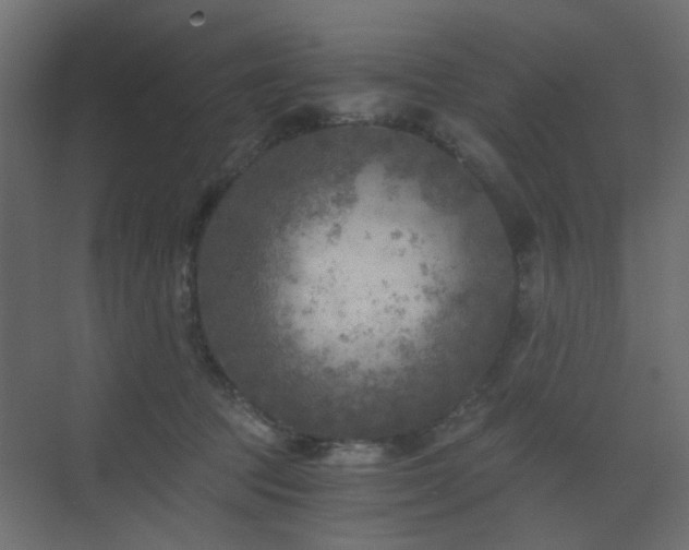 X0000072960369200607211203