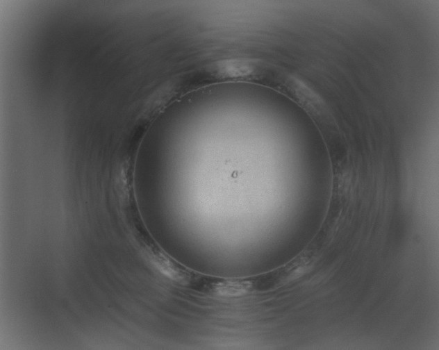 X0000072960373200607211203