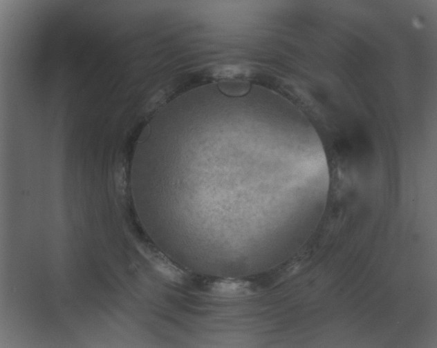 X0000072960375200607211203