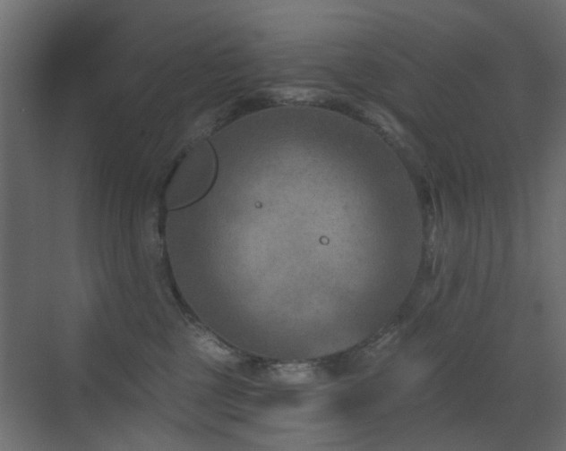 X0000072960377200607211203