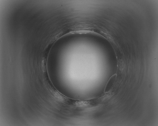 X0000072960378200607211203