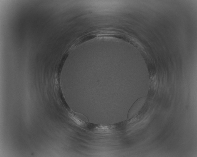 X0000072960381200607211204