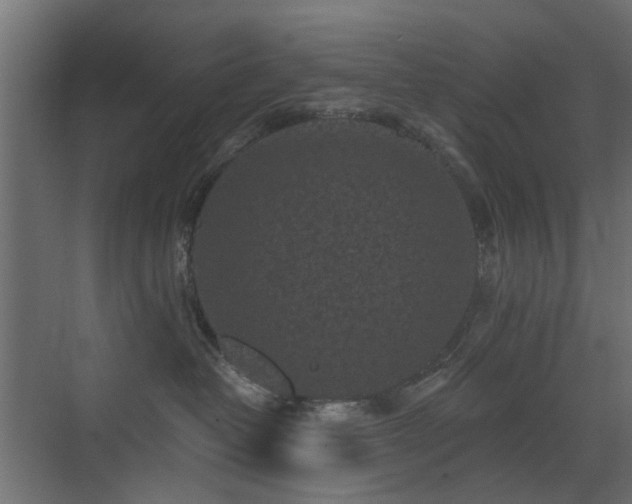 X0000072960382200607211204