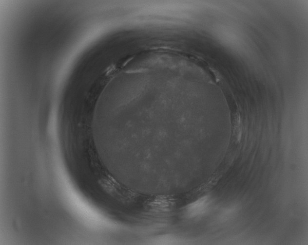 X0000072960383200607211204