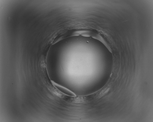 X0000072960384200607211204