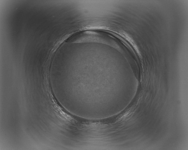 X0000072960385200607211203