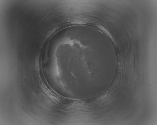 X0000072960386200607211203