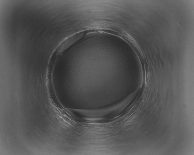 X0000072960387200607211203