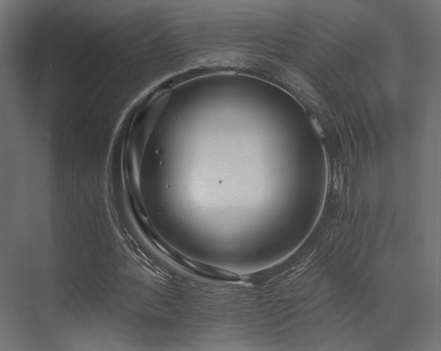 X0000072960388200607211203