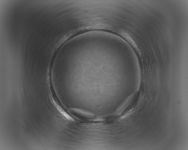 X0000072960389200607211203