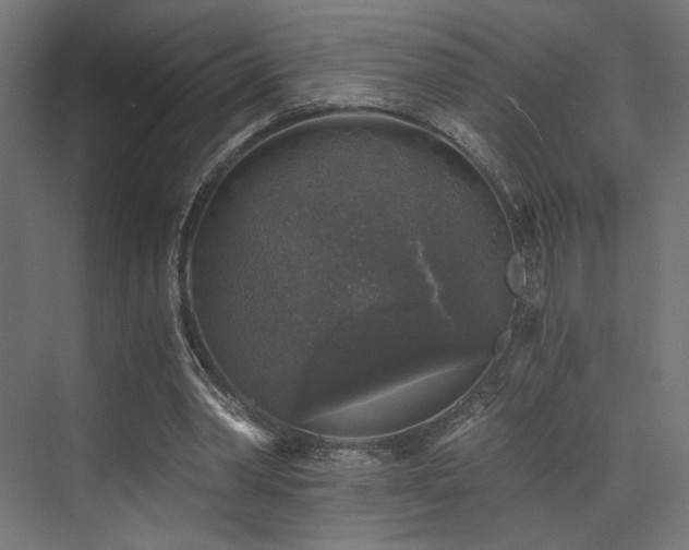 X0000072960390200607211203