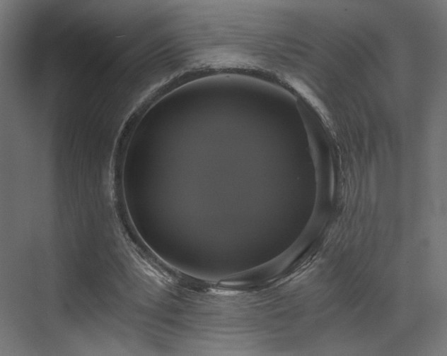 X0000072960391200607211203