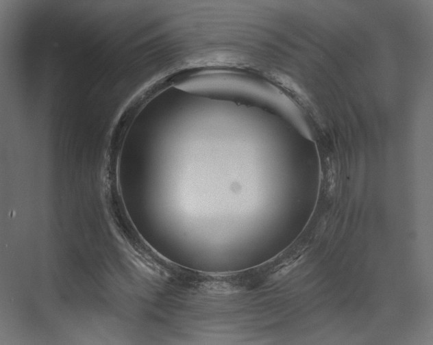 X0000072960392200607211203