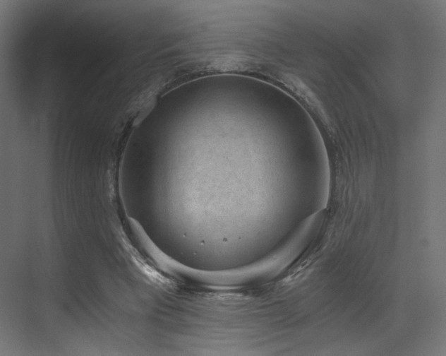 X0000072960393200607211203