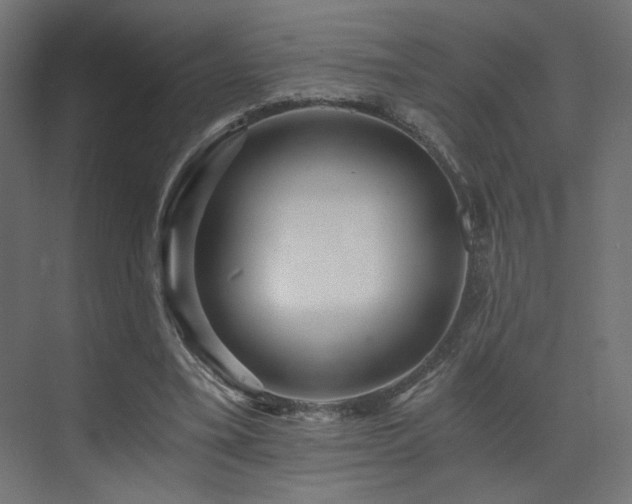 X0000072960395200607211203