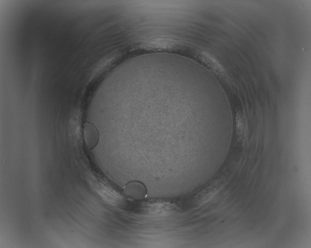 X0000072960396200607211203